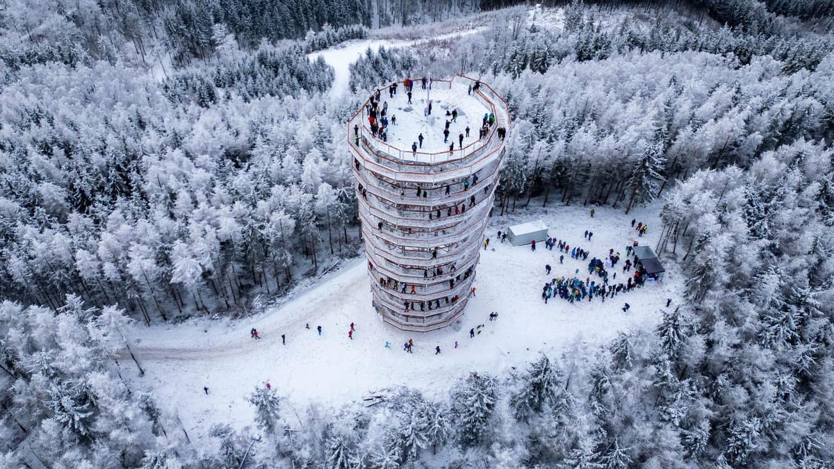 Wieża widokowa na Dzikowcu Wielkim