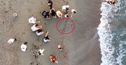 Nowe zakazy na plażach w Turcji. Za ich złamanie grożą gigantyczne mandaty