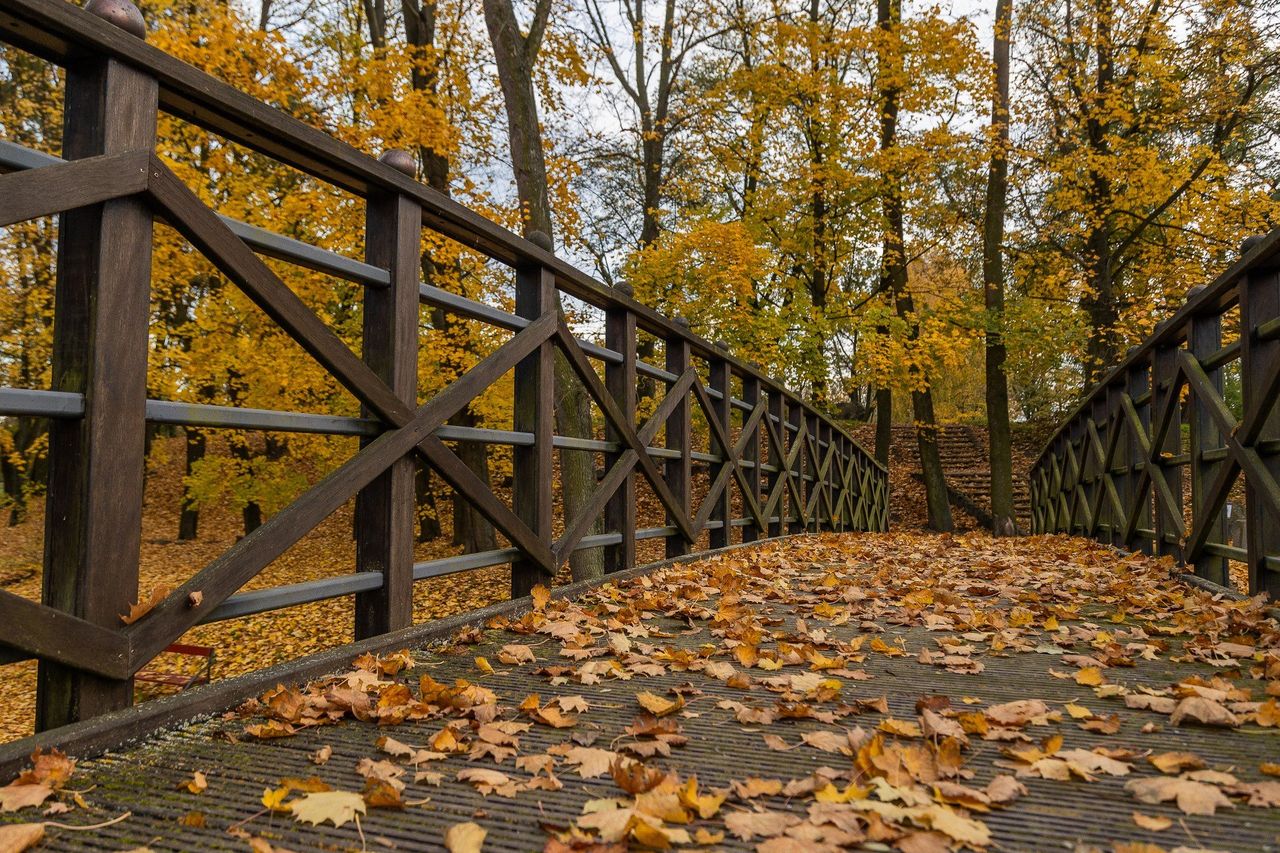 W nocy nawet do -4 stopni. Mgły jeszcze z nami zostają