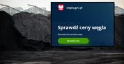 Będą kary dla sprzedawców węgla, którzy nie zarejestrują się na rządowej stronie