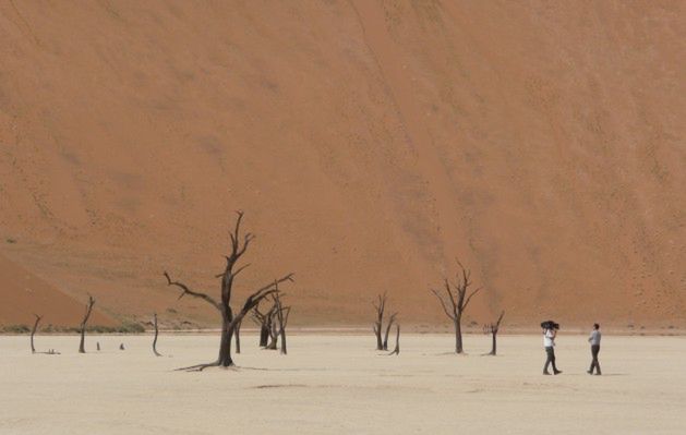 Namibia: Tam gdzie zimują bociany