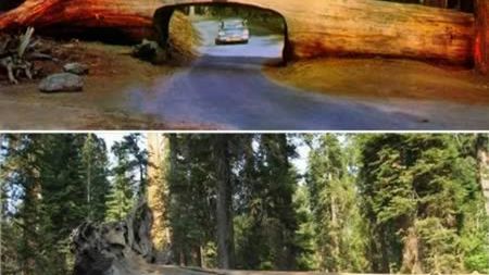 10 najbardziej nietuzinkowych tuneli na świecie 1