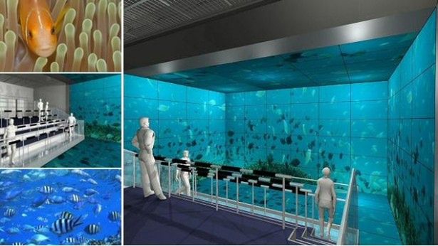 156 telewizorów 60" w parku rozrywki 1