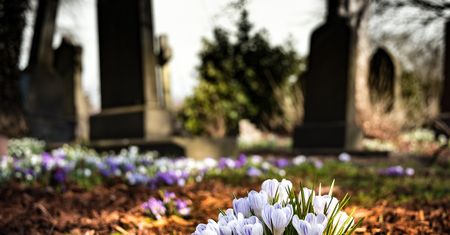 Chciała kupić miejsce na cmentarzu. Takiej ceny się nie spodziewała