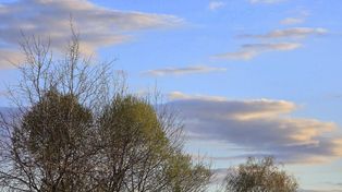 Pogoda na majówkę 2026 w Biłgoraju. Czy czeka nas prawdziwa wiosna?