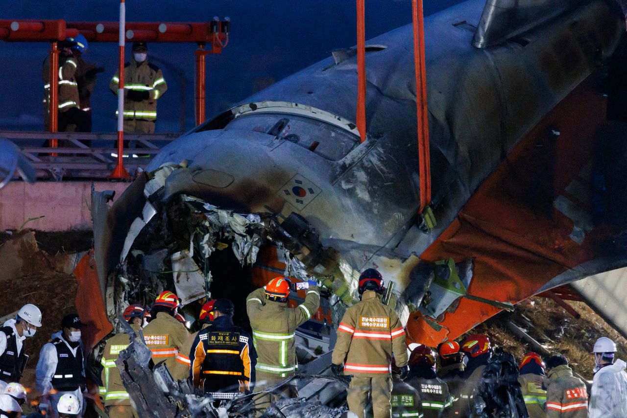 Duck feathers blamed as deadly crash rocks South Korea airport