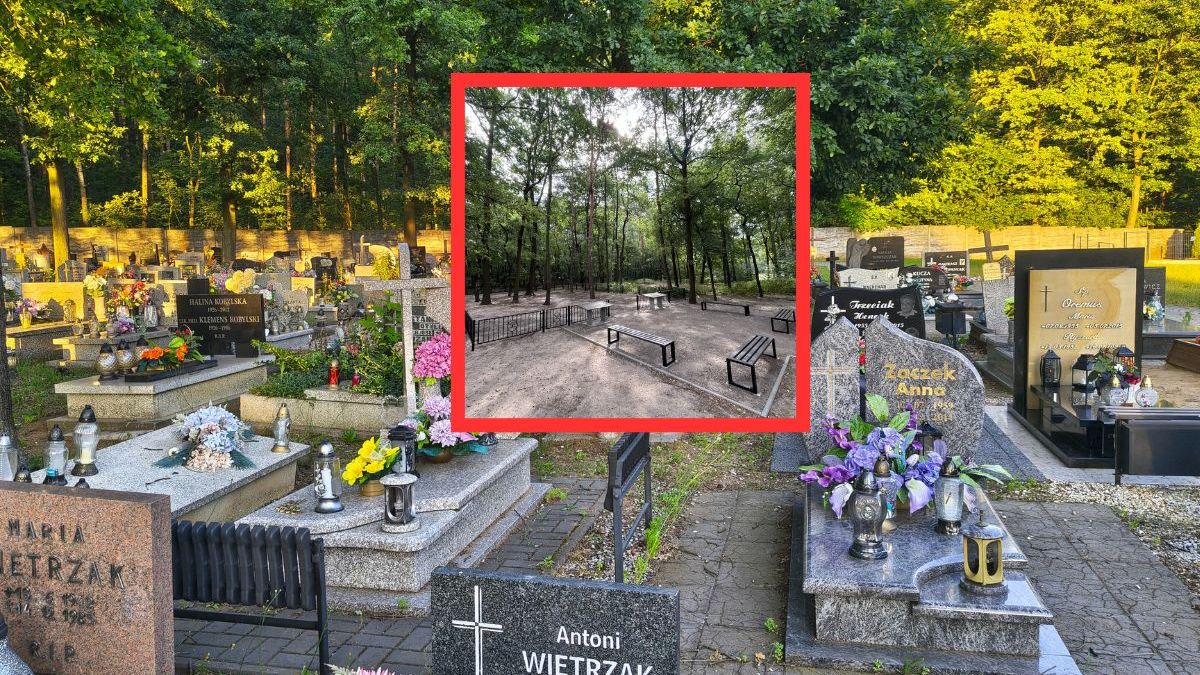 W Gliwicach powstał ekologiczny sektor pochówku