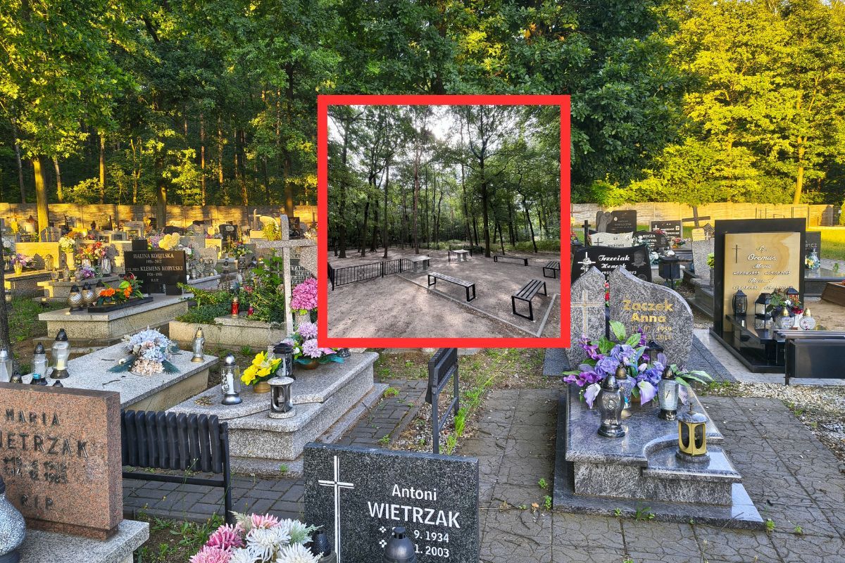 Bez zniczy i pomnika. Tylko urna biodegradowalna. Oto nowy cmentarz