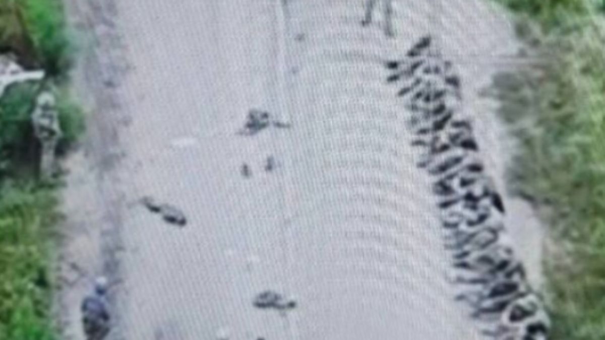 Ukraina atakuje w obwodzie kurskim. Do niewoli trafili rosyjscy żołnierze.