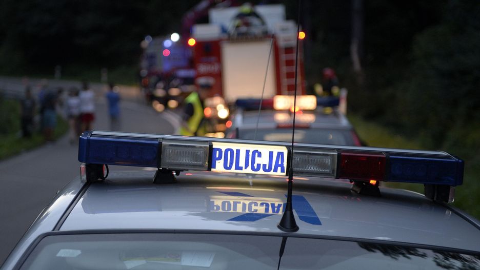 Wielkopolskie. Wypadek na DK 11, ranna ośmioosobowa rodzina 
