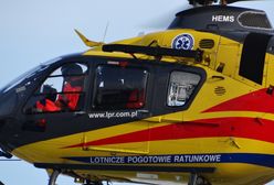 Dziecko walczy o życie. Tragedia podczas wycinki drzew