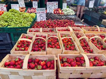 Tak rozpoznasz polskie truskawki. Nie daj się oszukać nieuczciwym sprzedawcom