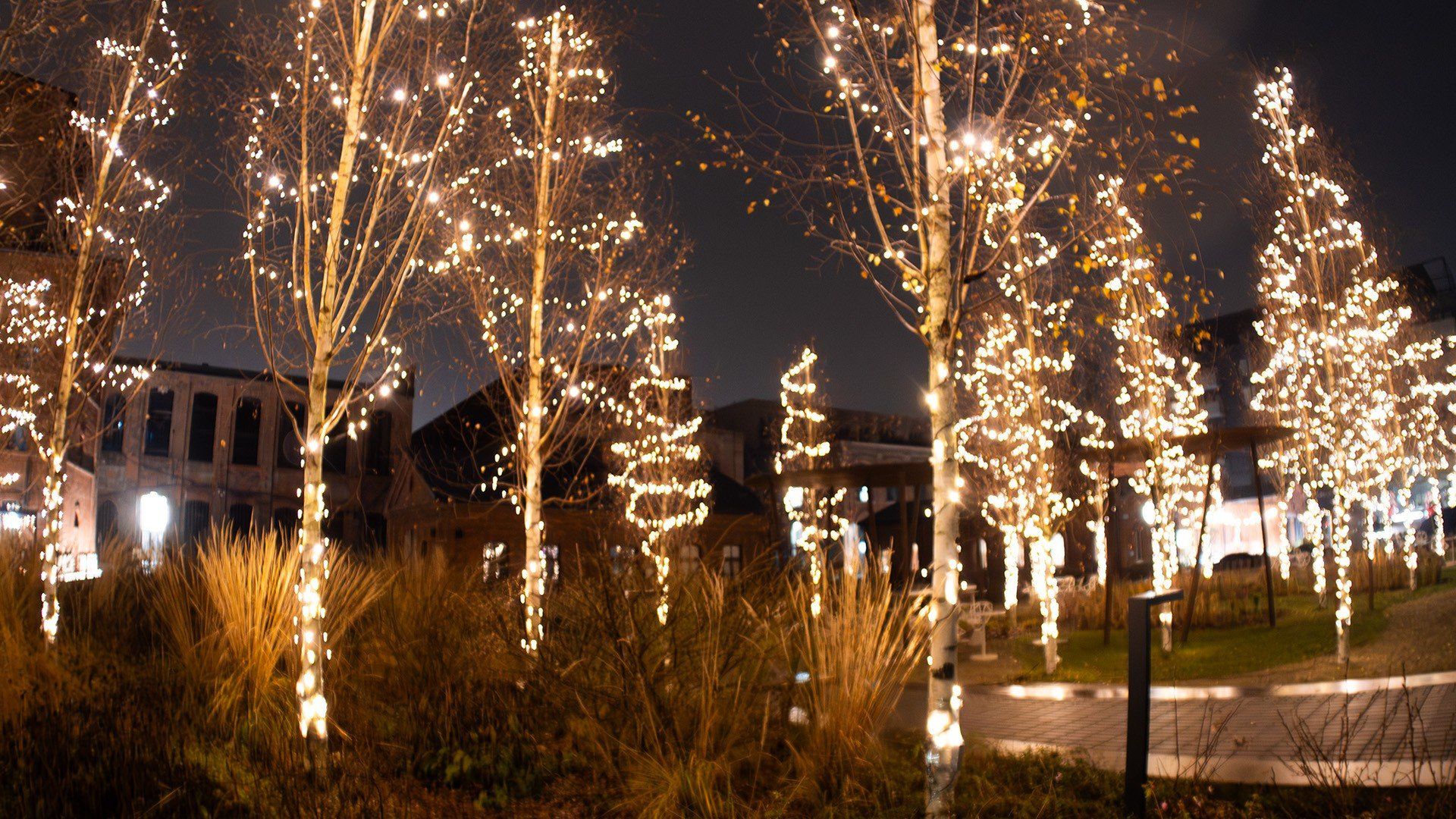 Świąteczna Fuzja robi wrażenie