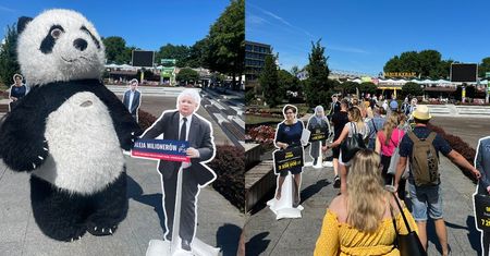 Postawili aleję milionerów PiS. Fala komentarzy do akcji KO