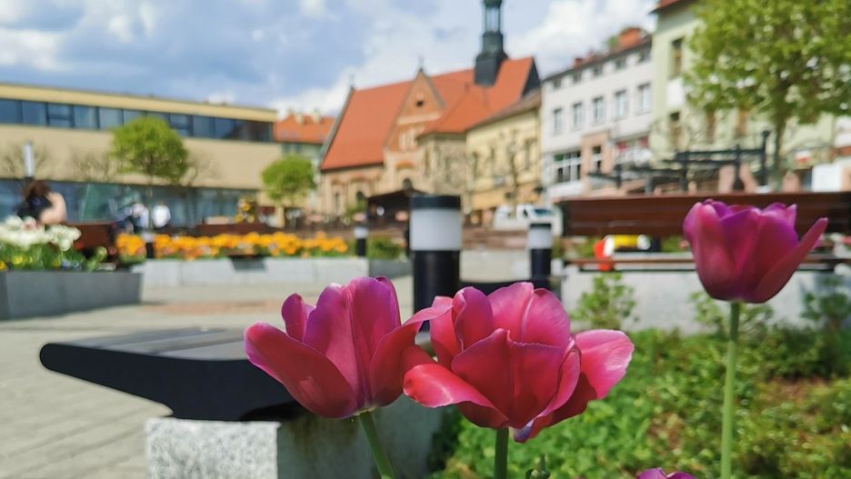 Rynek w Chrzanowie