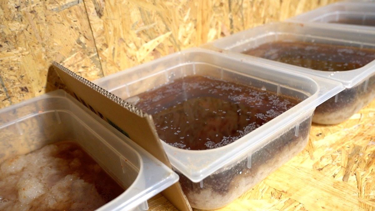 Zlikwidowano laboratorium klefedronu