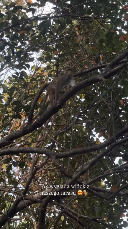 Małgorzata Rozenek na Sri Lance