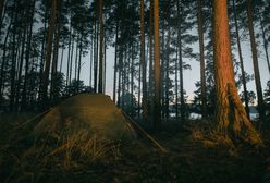 Uciekł do lasu przed mobilizacją. I tam wciąż pracuje