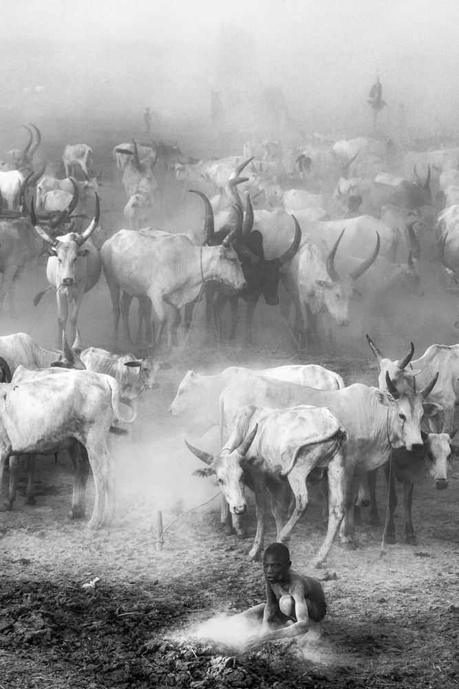 Monochrome Photography Awards 2019: wielu Polaków wśród wyróżnionych 2