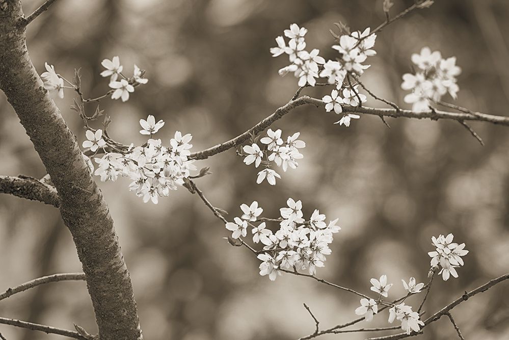 Materiał do projektu został wykonany aparatami Nikon D700, D800 oraz Sony a7 II.