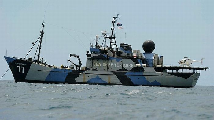 Obrońcy wielorybów sięgnęli po bezzałogowce [wideo] 1