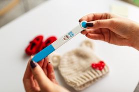 Zygota, zapłodnienie, implantacja i zarodek – jak zaczyna się ciąża? 