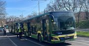 Zderzenie autobusów w Szczecinie. W jednym była wycieczka szkolna