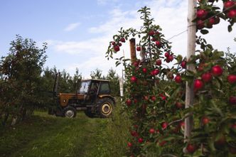 Polscy rolnicy z kolejnym rekordem. Liczą zyski ze sprzedaży