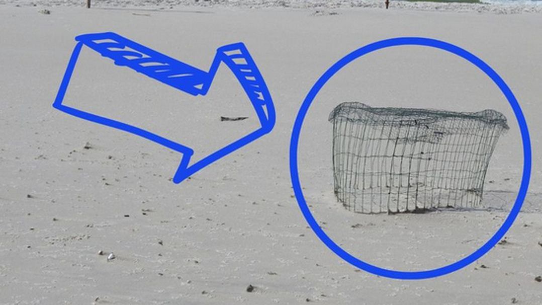 Ważny apel WWF. Chodzi o plaże