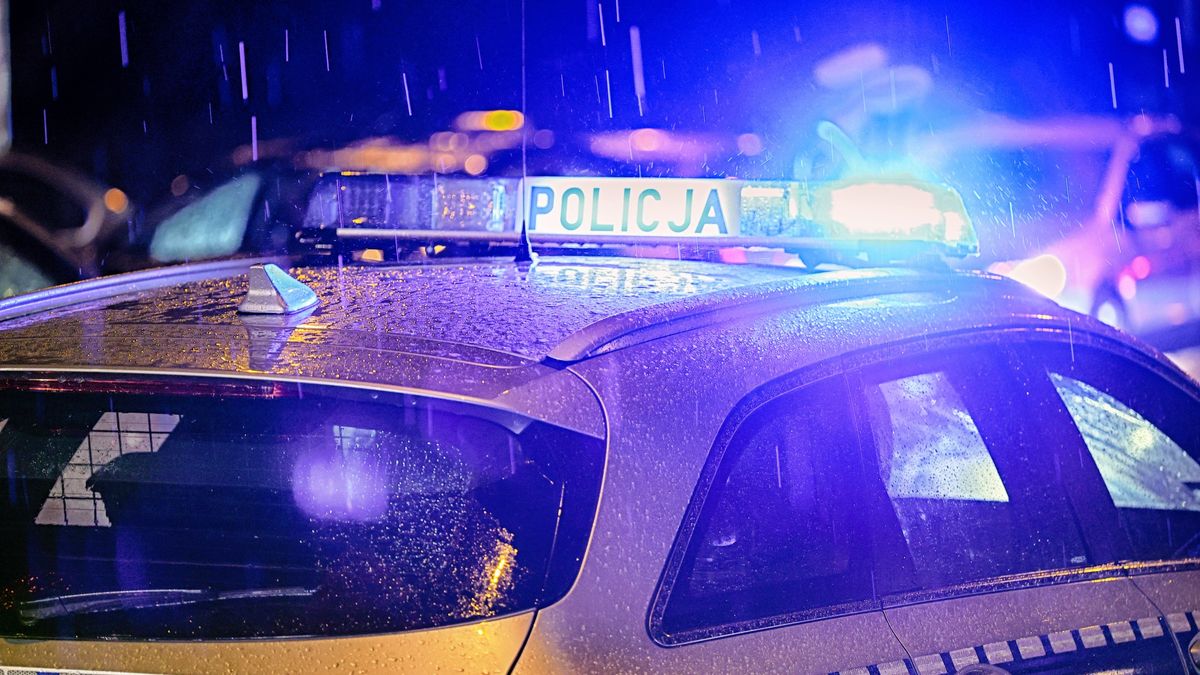 Nietypowa interwencja policji.