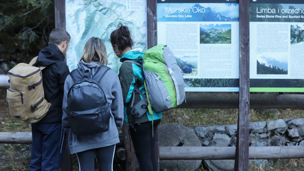 Zdjęcie ilustracyjne