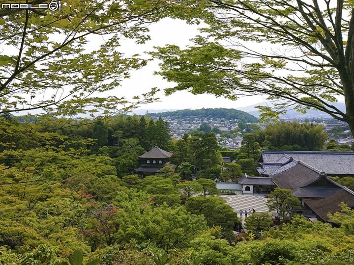 #wSkrócie: Sony Xperia XZ3 w GFXBench, Huawei P9 bez Oreo i Google Assistant po polsku 10