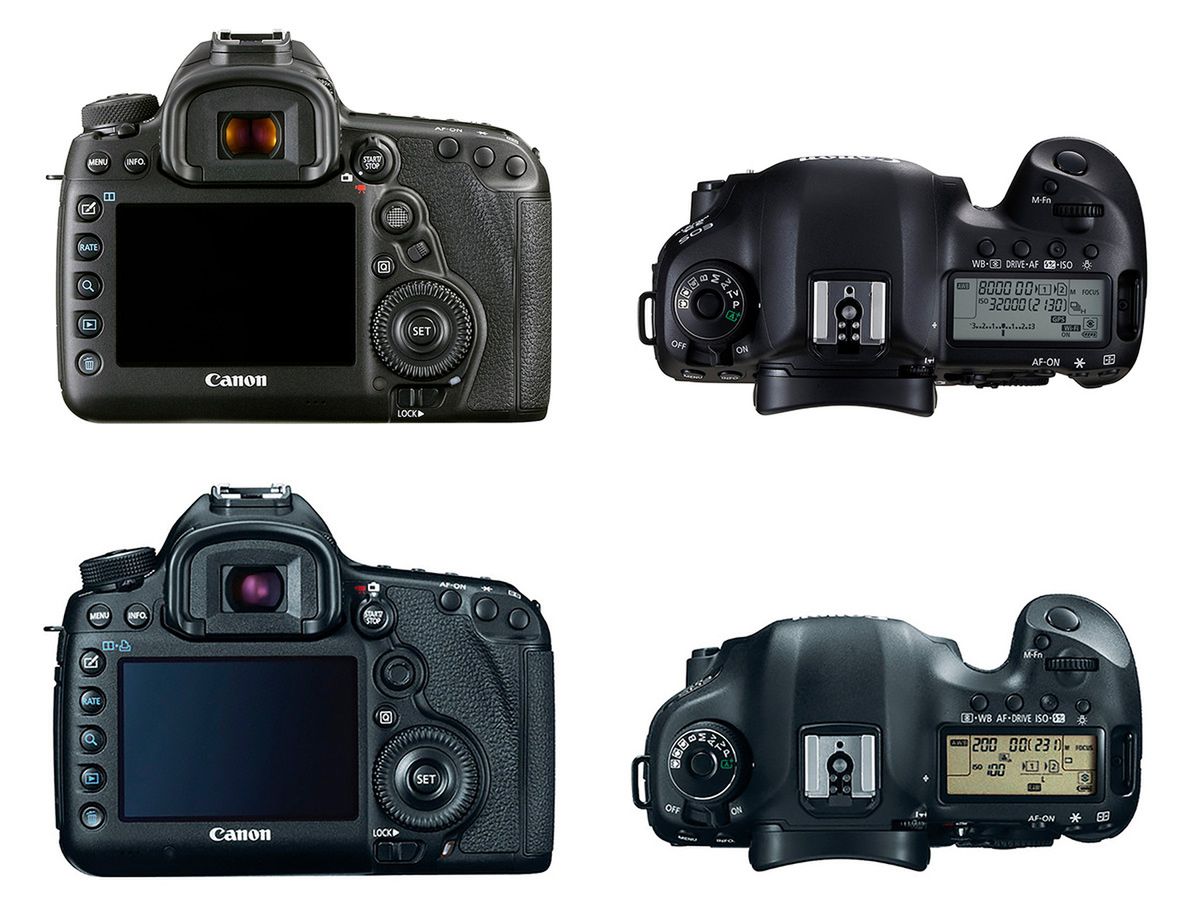 Canon EOS 5D Mark IV - test lustrzanki dla profesjonalistów 10