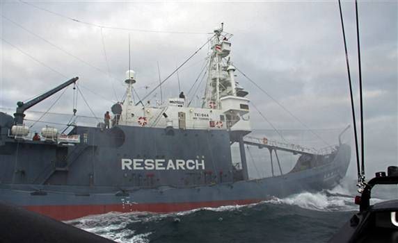 Wielorybnicy VS Sea Shepherd - w ruch poszły lasery, kwas i armatki wodne 2