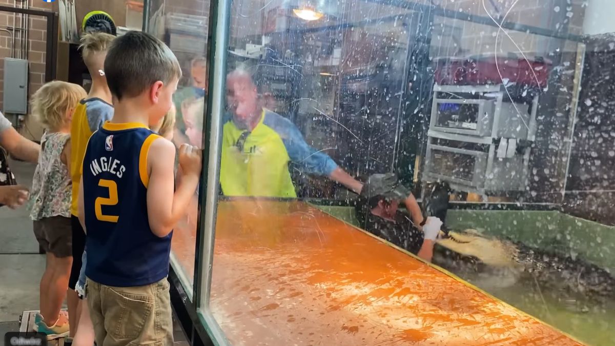 kobieta zaatakowana przez aligatora