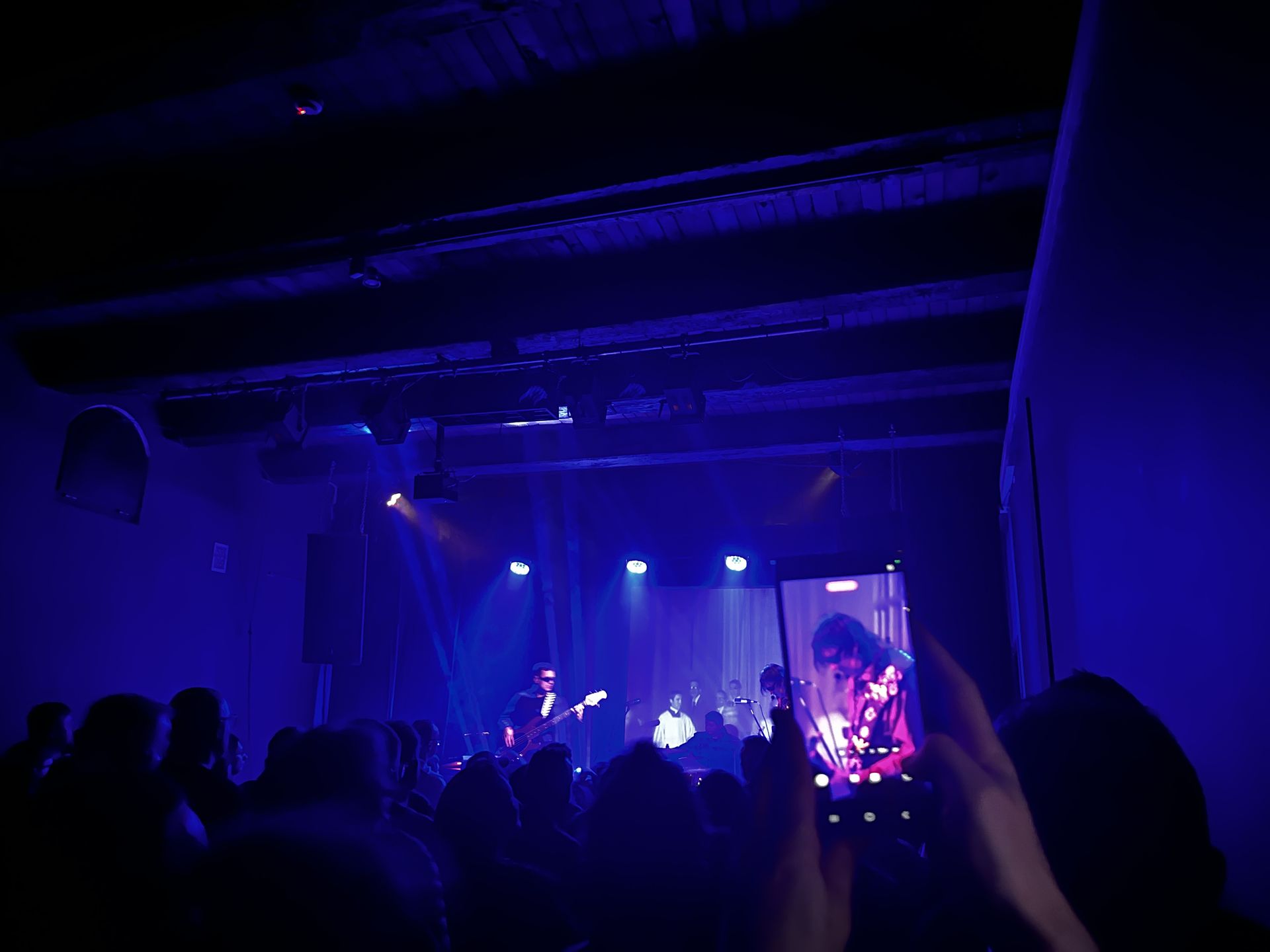 Koncert Homo Twist