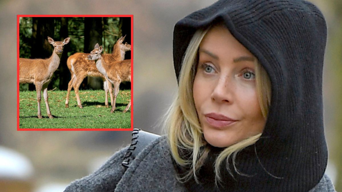 Agnieszka Woźniak-Starak komentuje odstrzał 164 jelenii 