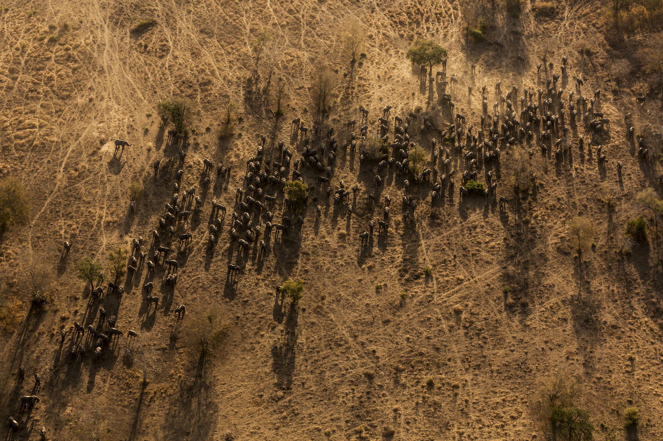 Znamy wyniki World Press Photo 2015. Oto najlepsze fotografie prasowe minionego roku 27