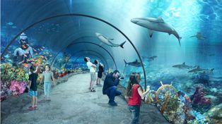 Łódź: Zoo w rytmie miłości. Nowe pary i mieszkańcy w Orientarium