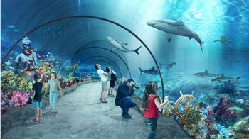 Łódź: Zoo w rytmie miłości. Nowe pary i mieszkańcy w Orientarium