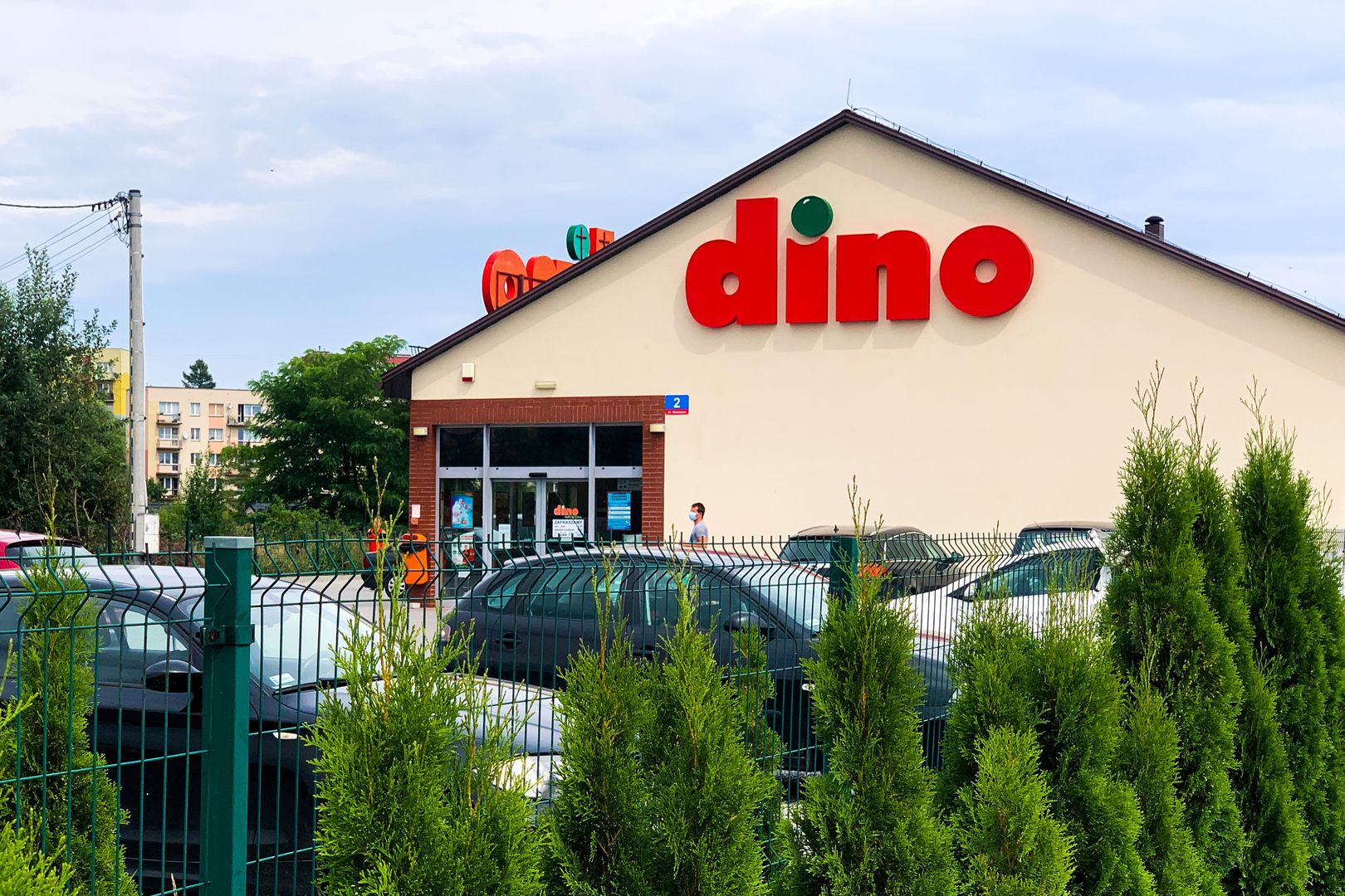 Tak, za darmo! Aż trudno uwierzyć w promocję Dino