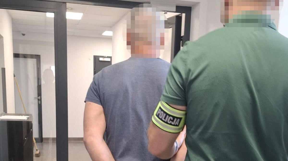49-latek celowo wjechał w stado dzików. Po chwili to powtórzył