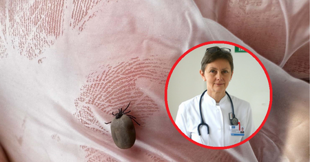 Trwają prace nad szczepionką na boreliozę. Prof. Zajkowska: Monitorujemy uczestników