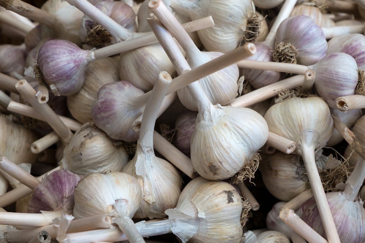 Czosnek traci swoje właściwości przez jeden prosty błąd. Popełniamy go niemal wszyscy