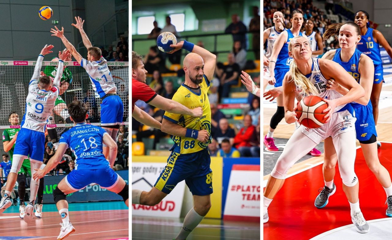 Gorzów Wielkopolski: Dotacje na sport. Tak podzielono pieniądze
