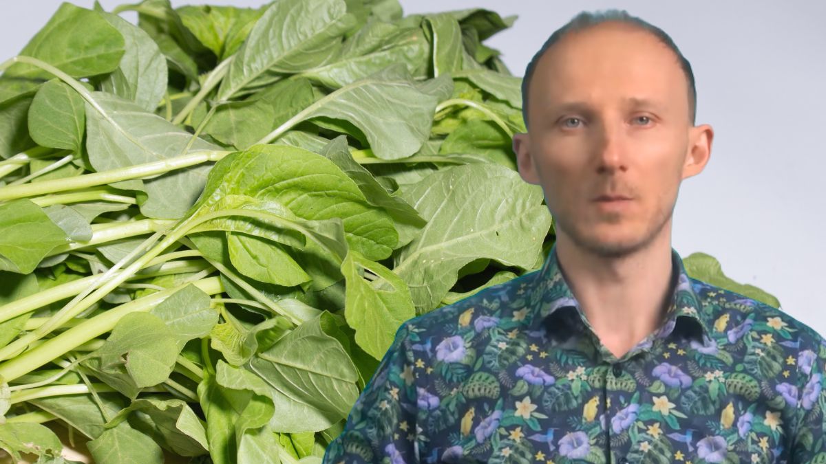 To warzywo warto dodać do koszyka