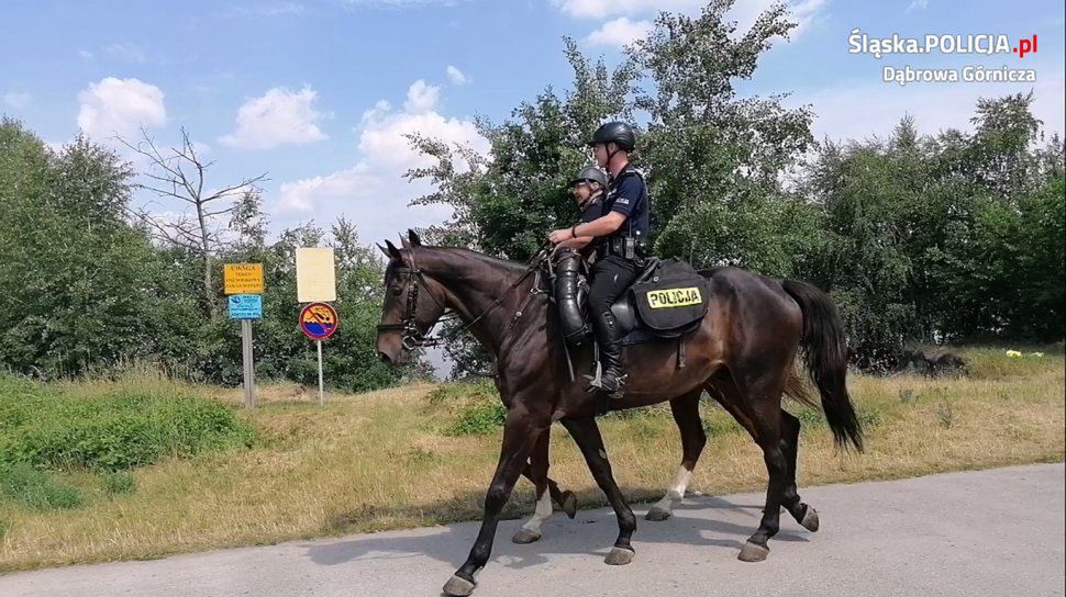 Dąbrowa Górnicza. Konne patrole pojawiły się nad Pogorią 4.