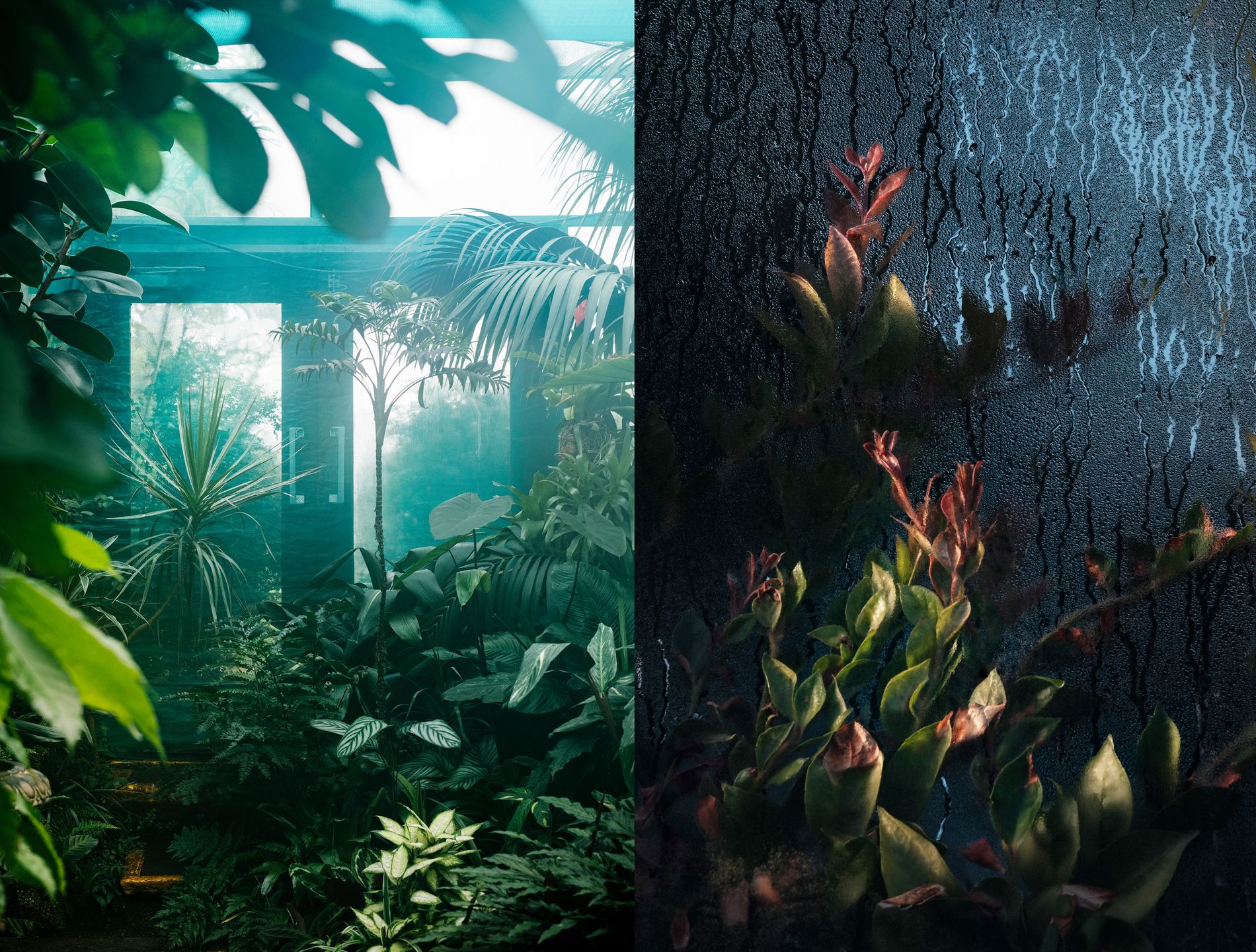 "Botanical", czyli szklane domy Samuela Zellera 3