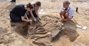 Orłowo: Sensacyjne odkrycie archeologów. Natrafili na zbiorowy pochówek sprzed 8-9 tysięcy lat