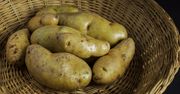 Masz takie ziemniaki w domu? Natychmiast się ich pozbądź